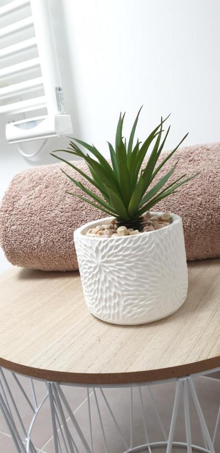 Appartement Le P'tit Cocoon *